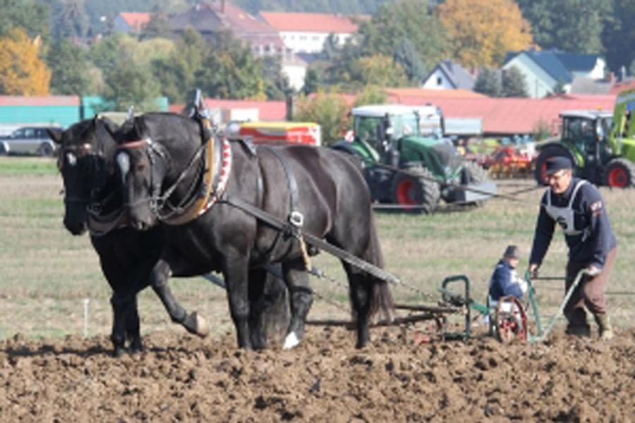Dr. Axel Geide ist drittbester Pflüger Sachsens
